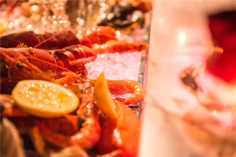 2015 HALO Rose Gala - 3