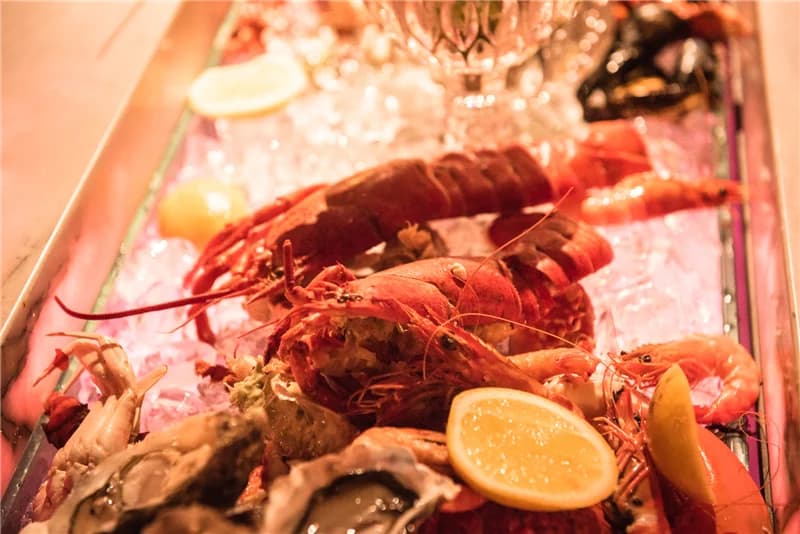 2015 HALO Rose Gala - 4