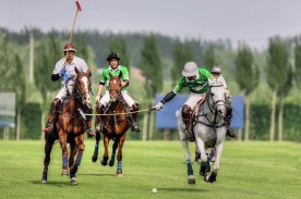 Tang Polo Club